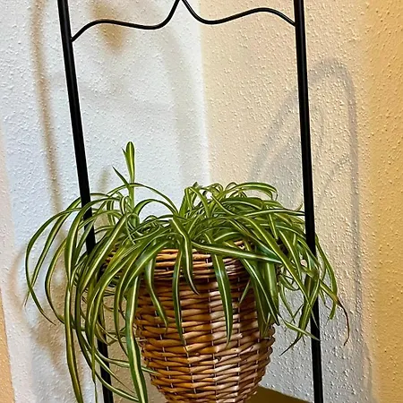 Haus Groeblacher Mayrhofen